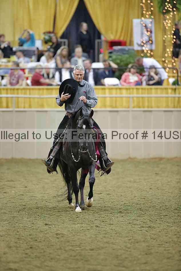 Proof 14usn_40536