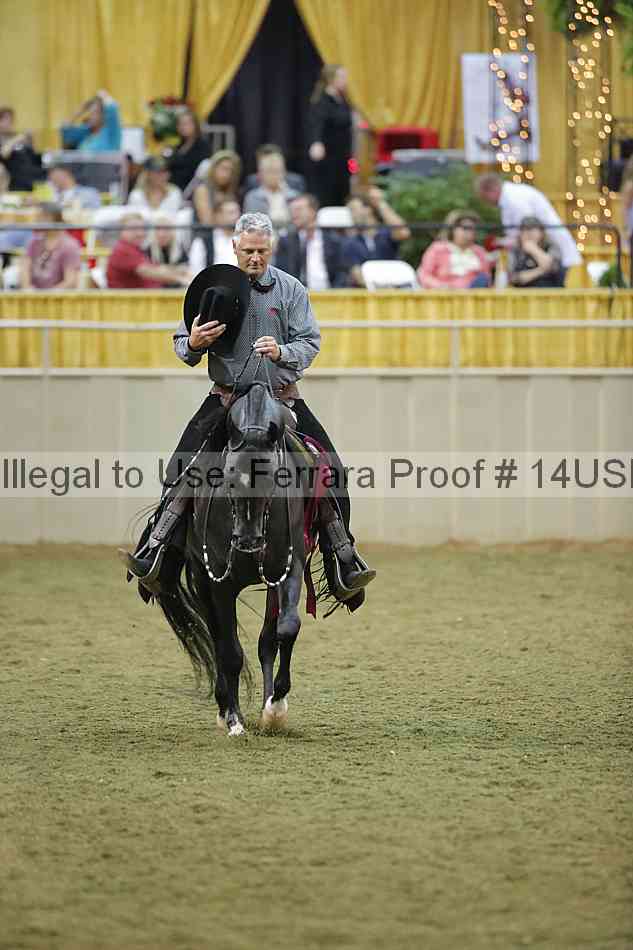 Proof 14usn_40537