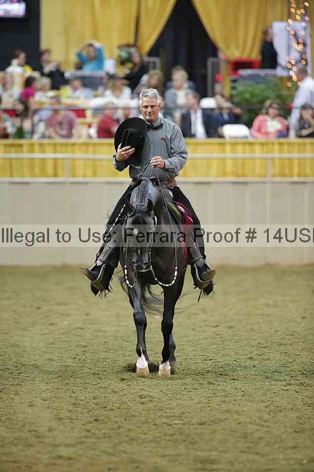 Proof 14usn_40538