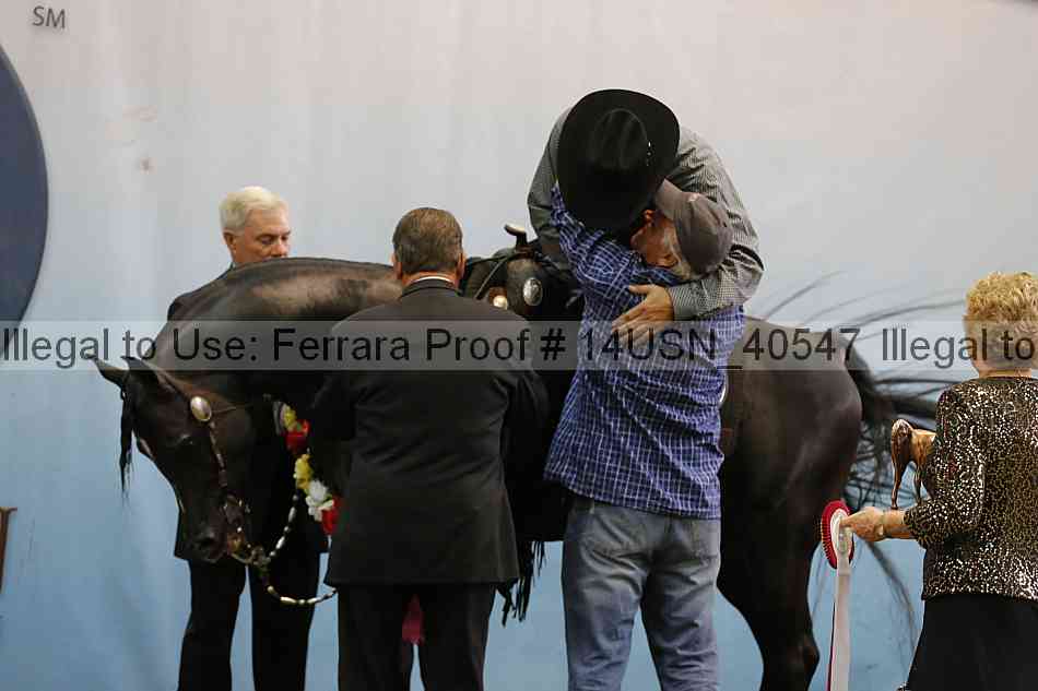 Proof 14usn_40547