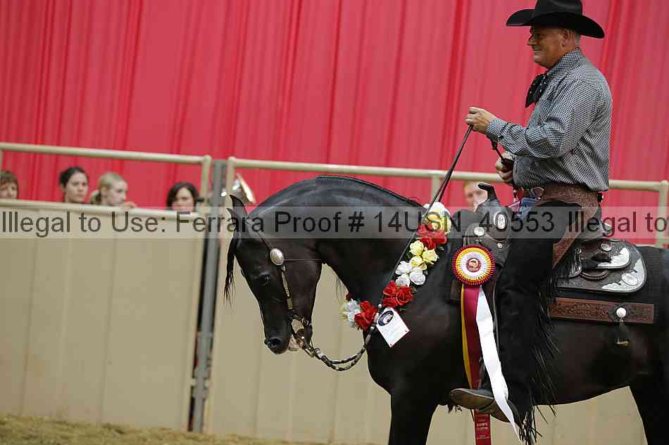 Proof 14usn_40553