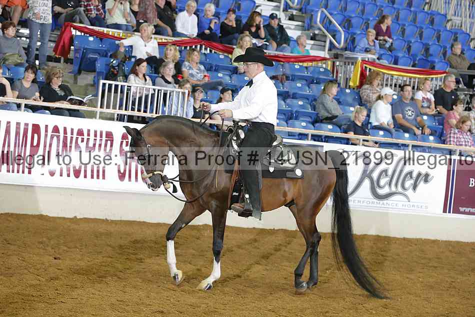 Proof 14usn_21899