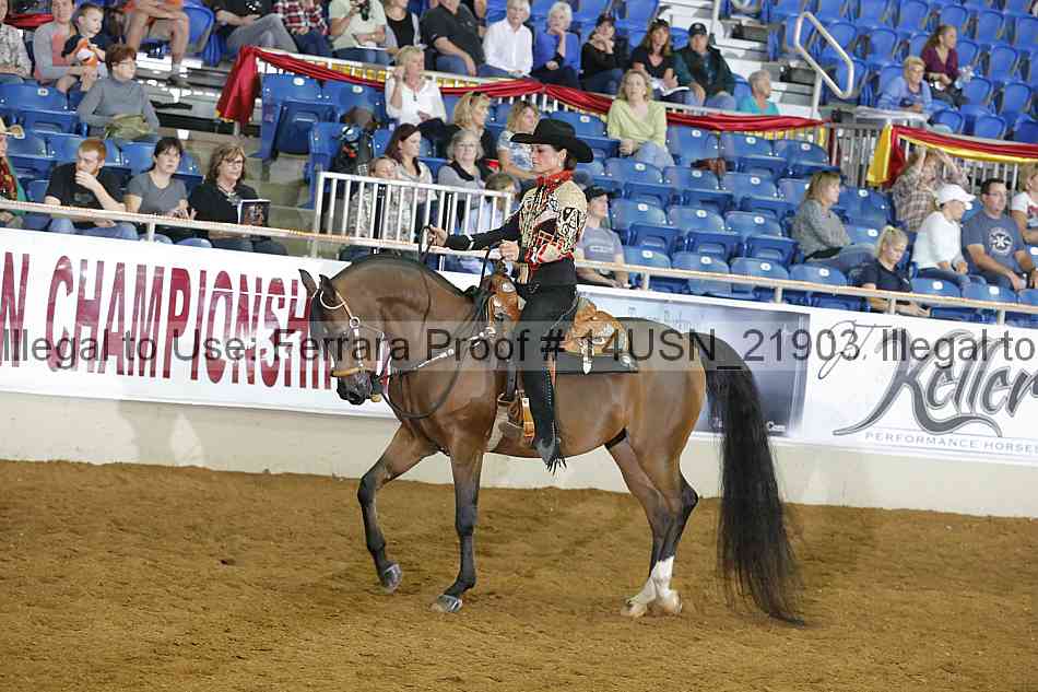 Proof 14usn_21903