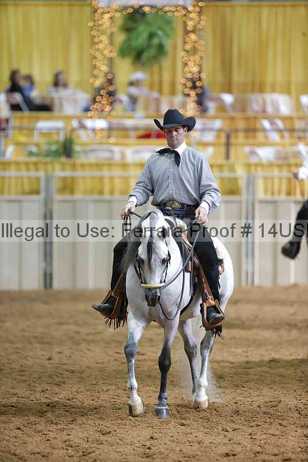 Proof 14usn_21909