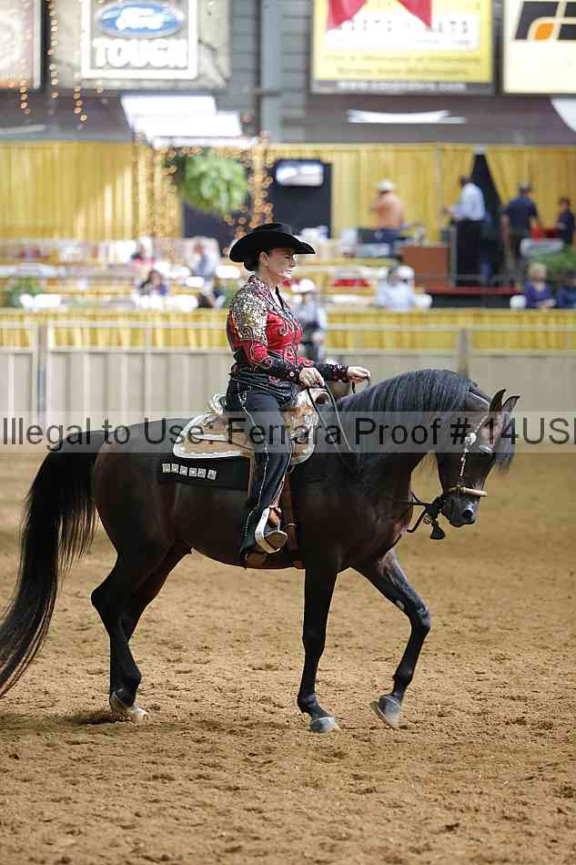 Proof 14usn_21922