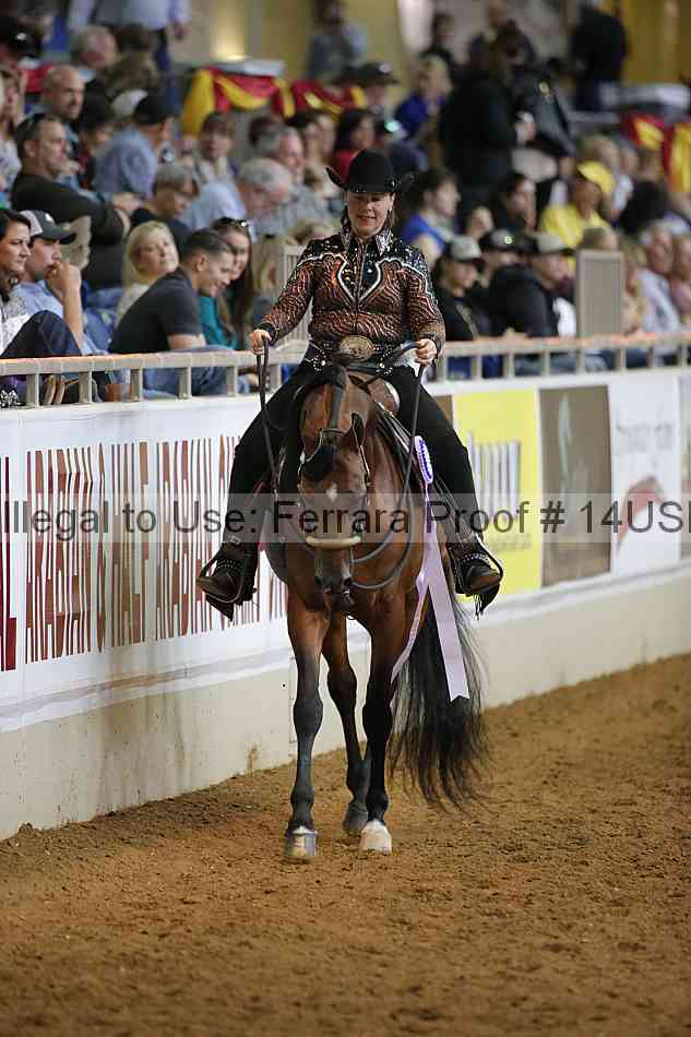 Proof 14usn_22030