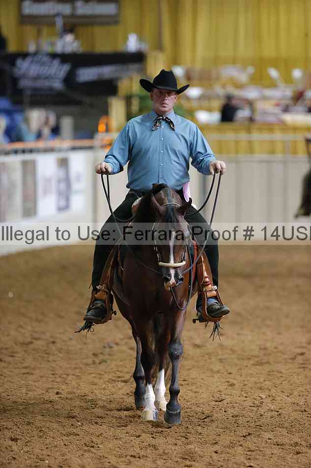 Proof 14usn_22039