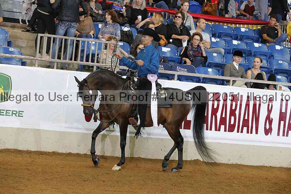 Proof 14usn_22051