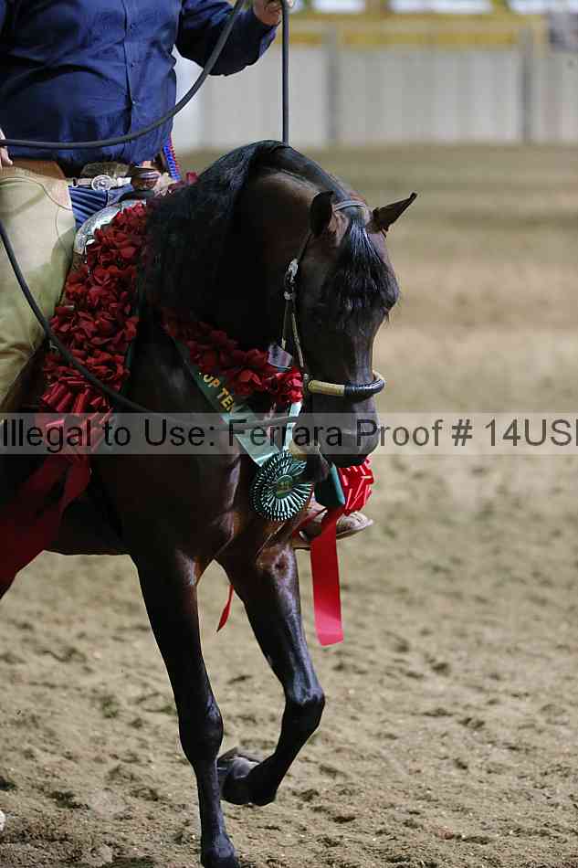 Proof 14usn_37552