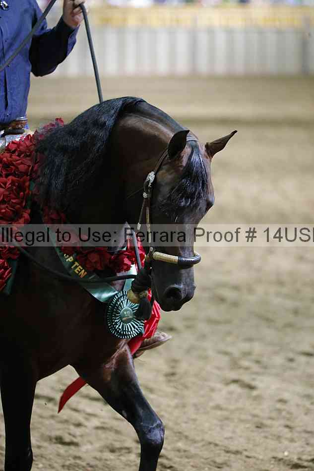 Proof 14usn_37553