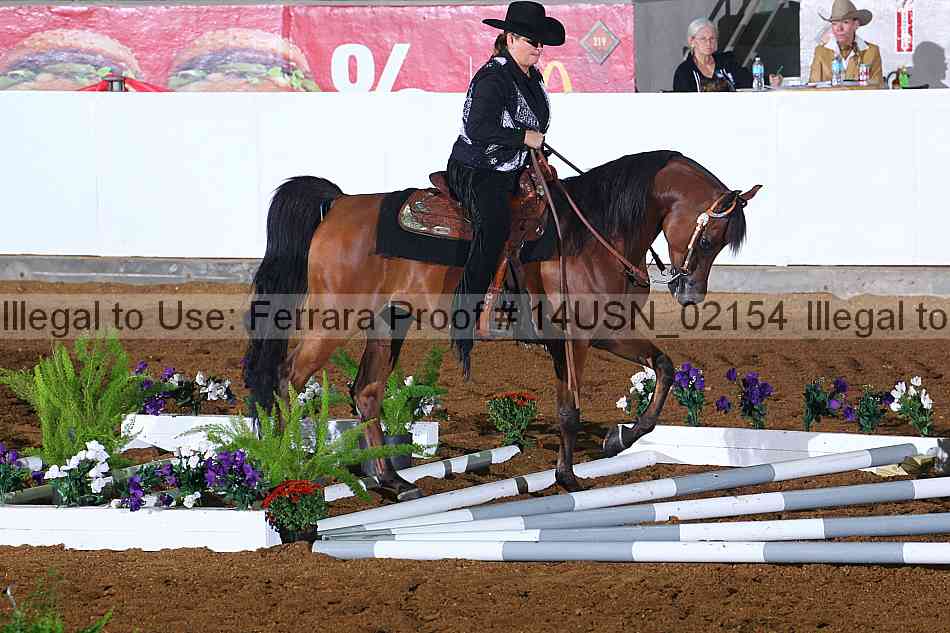 Proof 14usn_02154