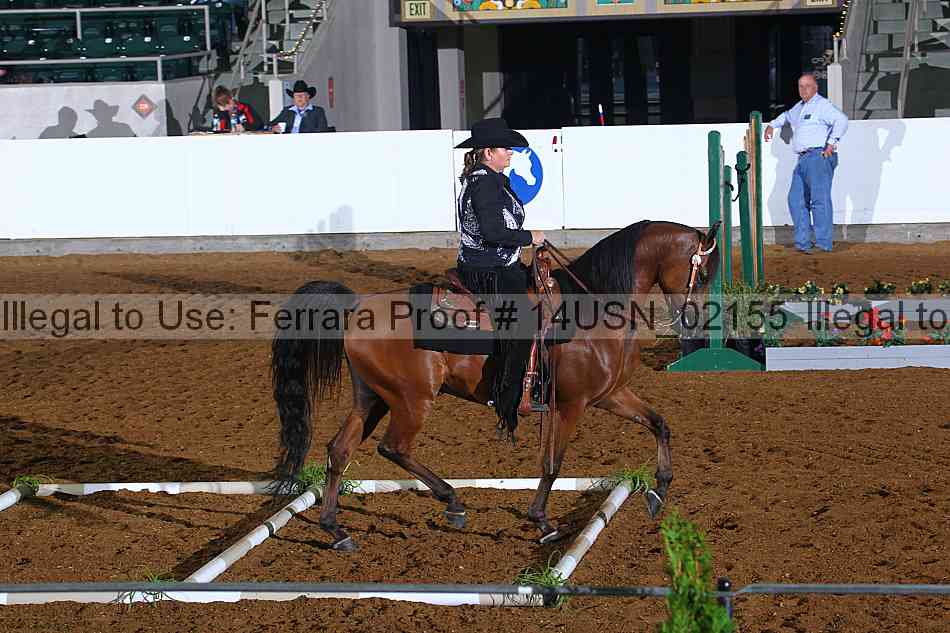 Proof 14usn_02155