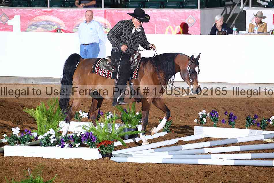 Proof 14usn_02165