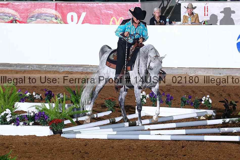 Proof 14usn_02180