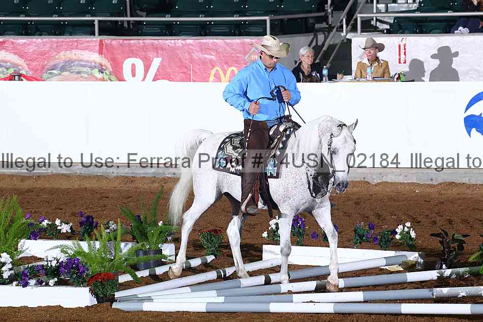 Proof 14usn_02184
