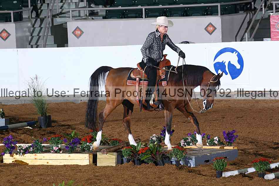 Proof 14usn_02192