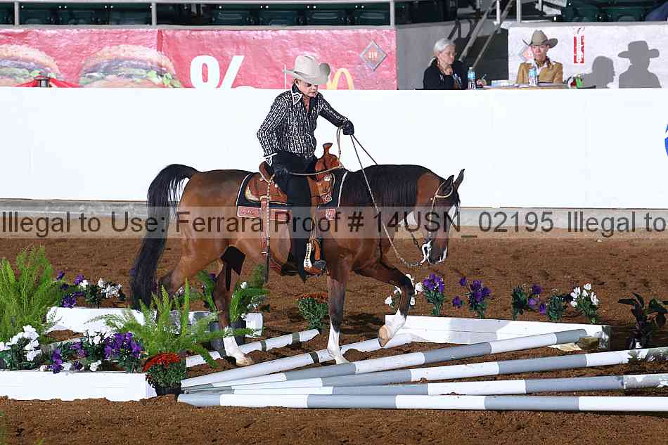 Proof 14usn_02195