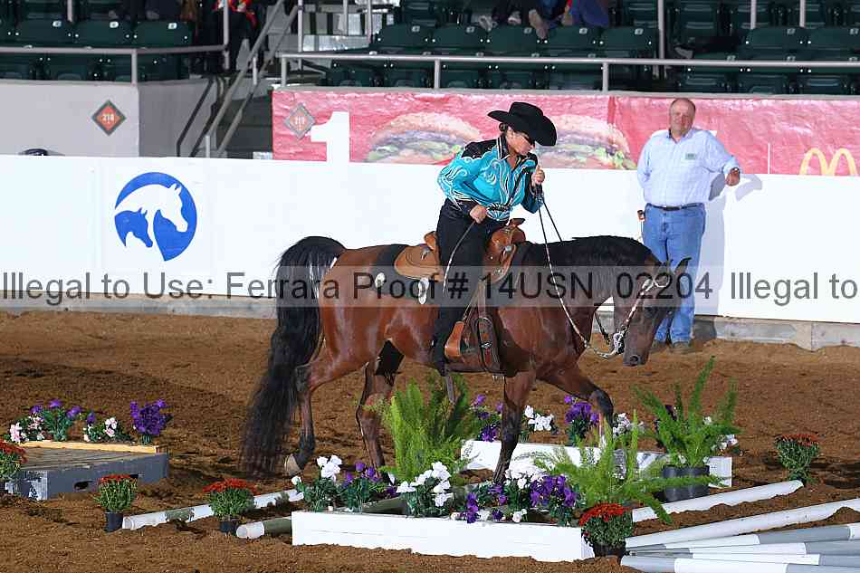 Proof 14usn_02204