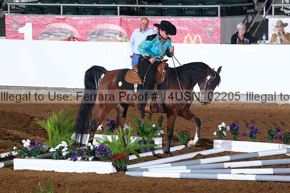 Proof 14usn_02205