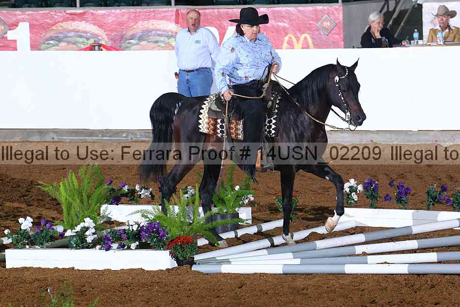 Proof 14usn_02209