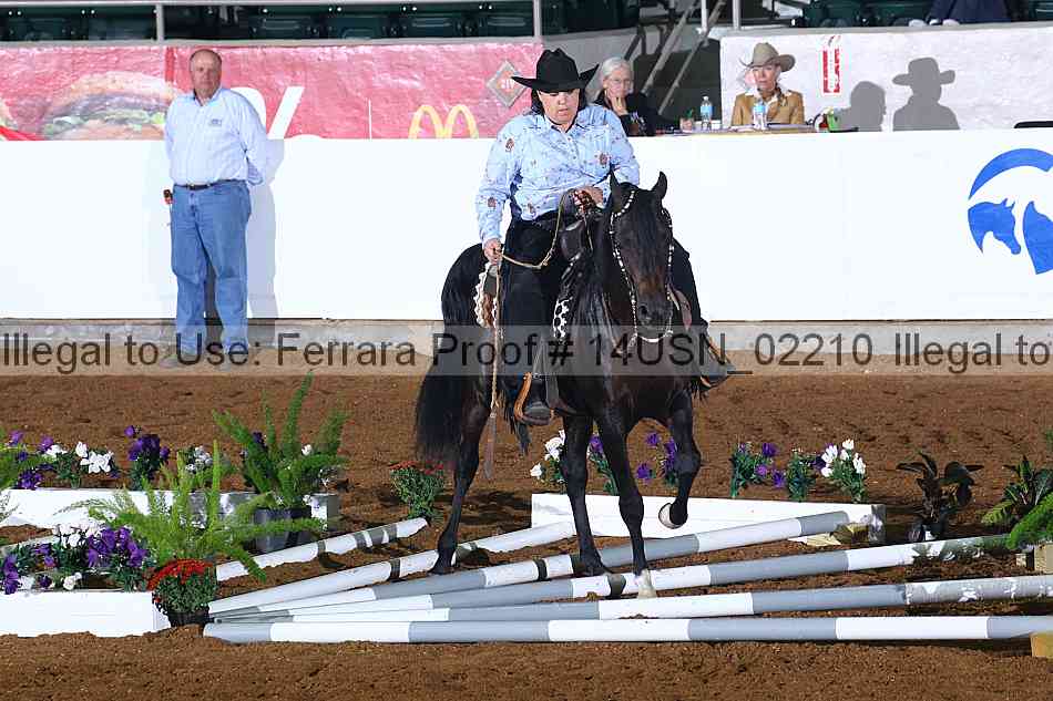 Proof 14usn_02210