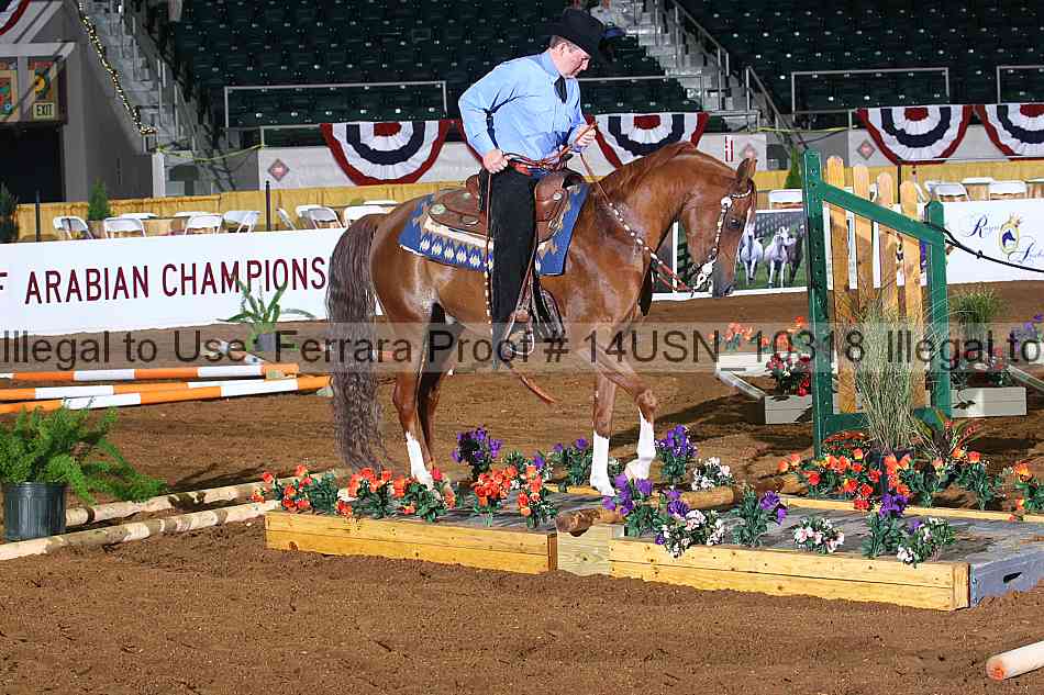 Proof 14usn_10318