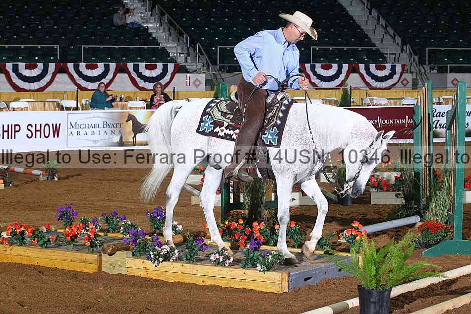 Proof 14usn_10346
