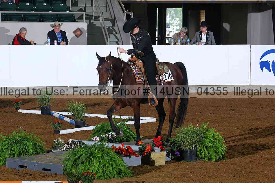 Proof 14usn_04355