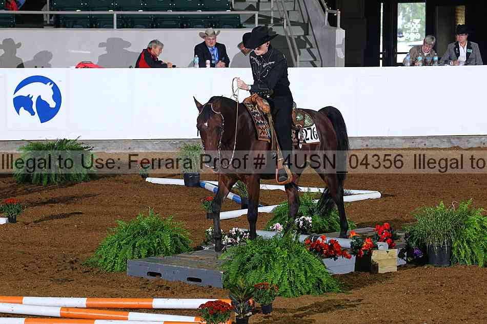 Proof 14usn_04356