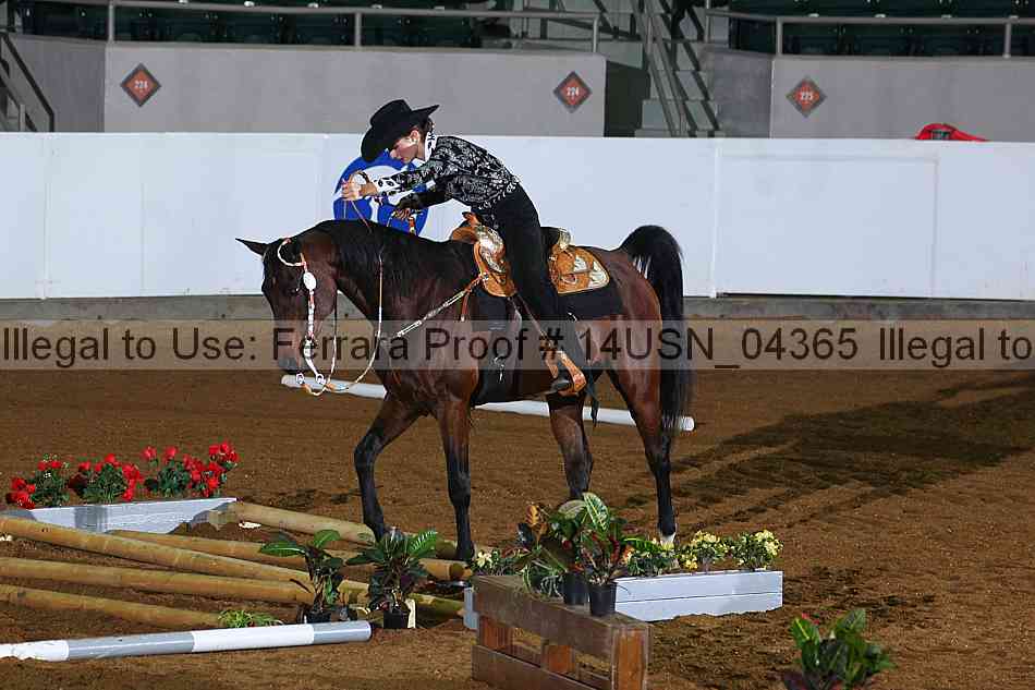 Proof 14usn_04365