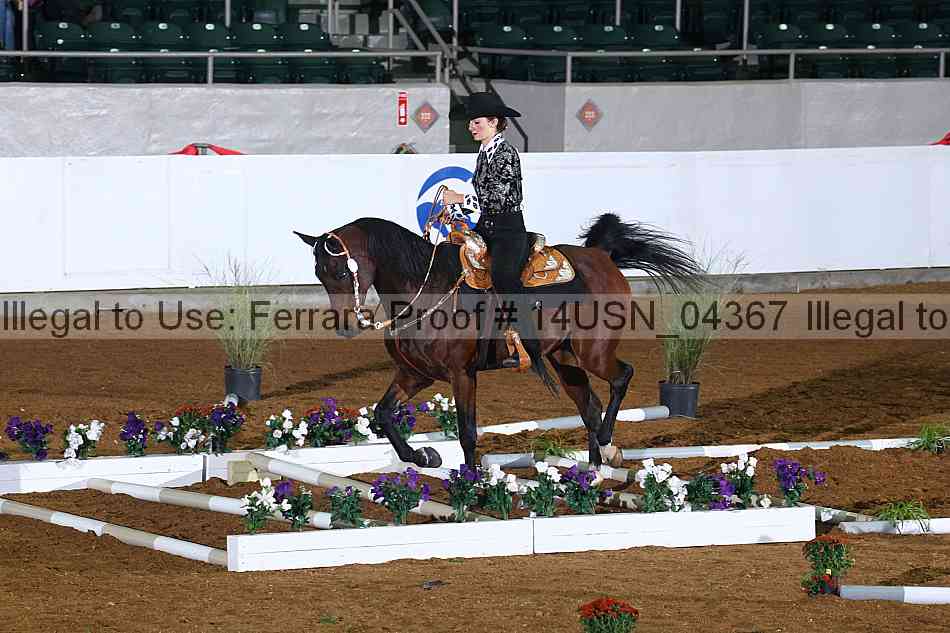 Proof 14usn_04367
