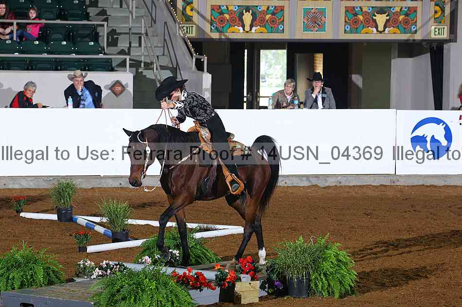 Proof 14usn_04369