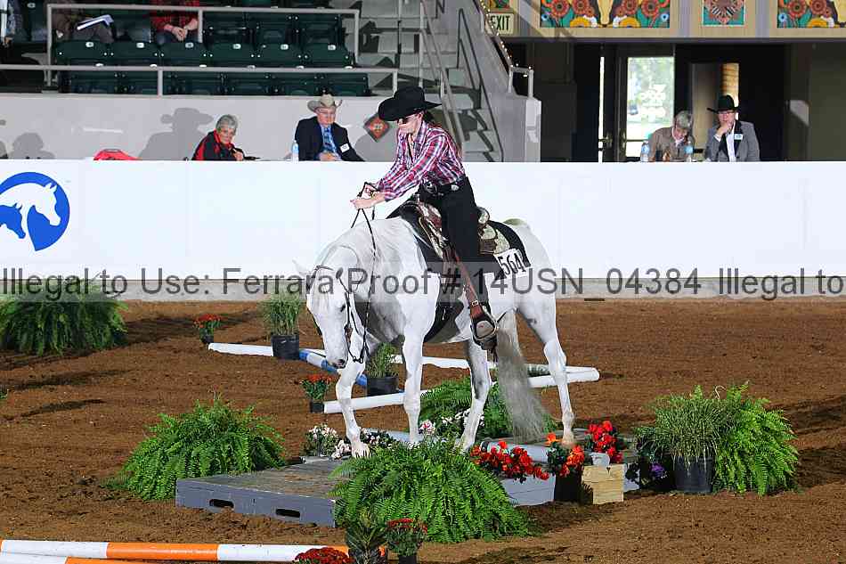 Proof 14usn_04384