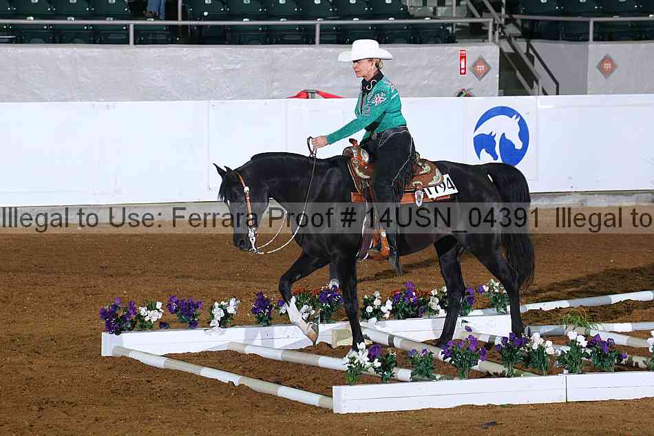 Proof 14usn_04391