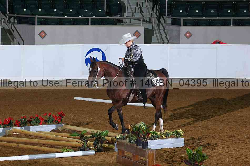 Proof 14usn_04395