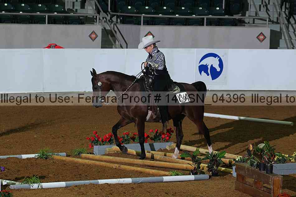 Proof 14usn_04396