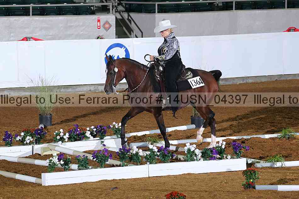 Proof 14usn_04397