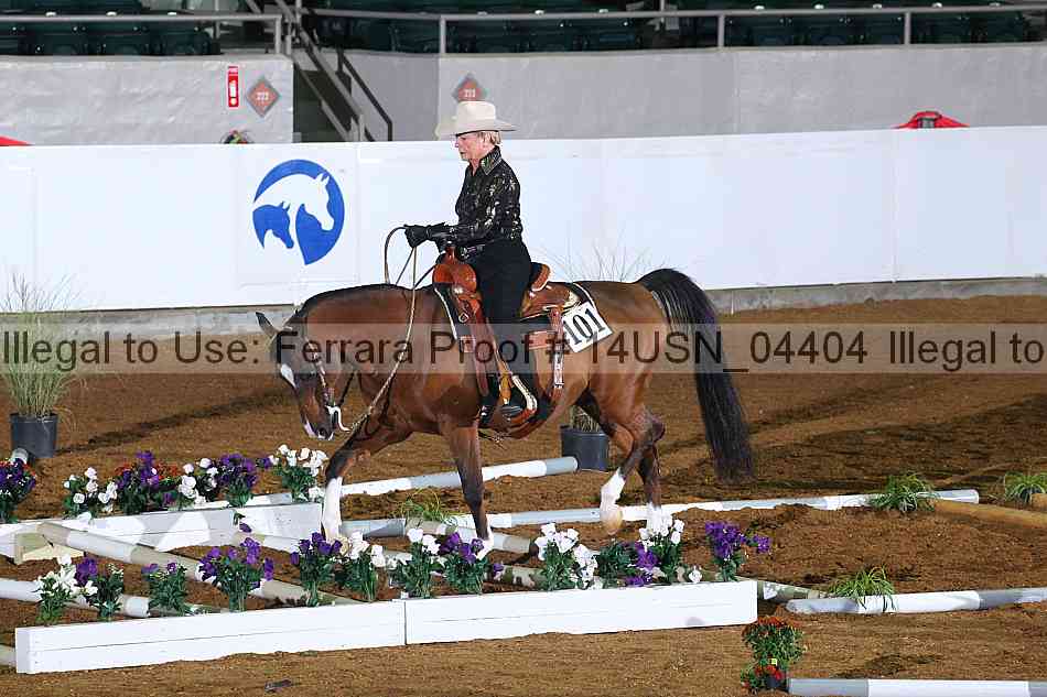 Proof 14usn_04404
