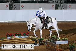 14usn_04418 proof
