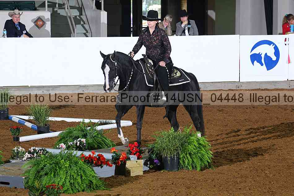 Proof 14usn_04448