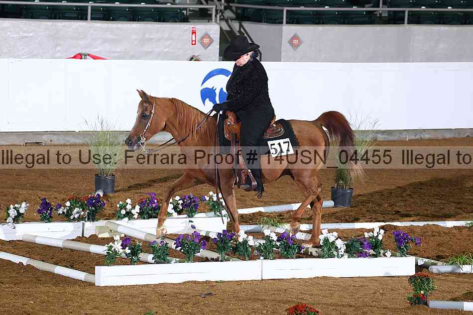 Proof 14usn_04455