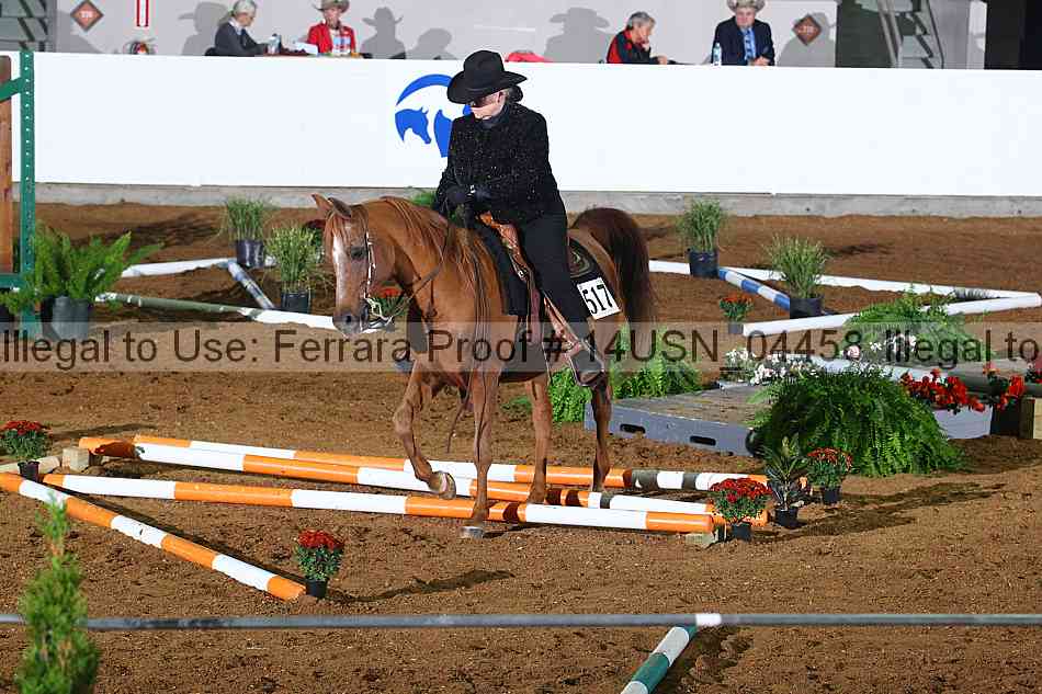 Proof 14usn_04458