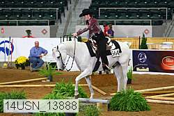 14usn_13888 proof
