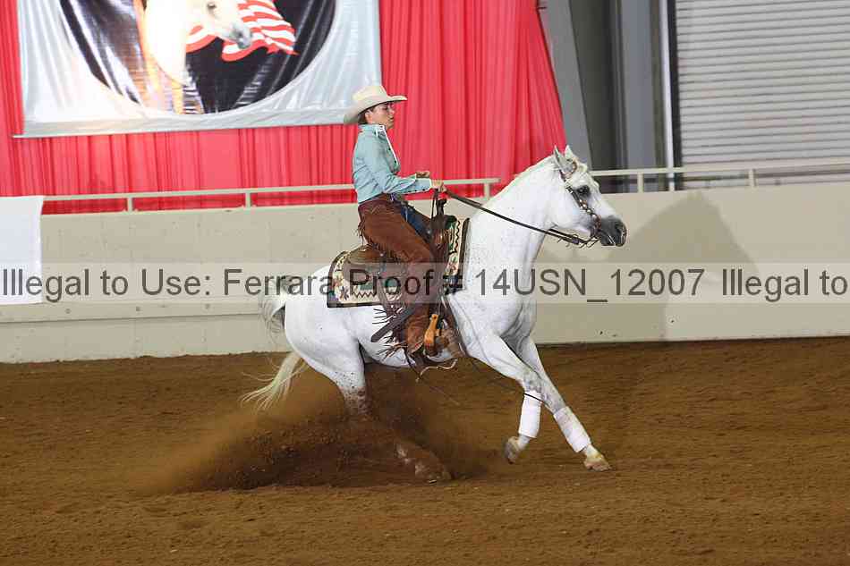 Proof 14usn_12007