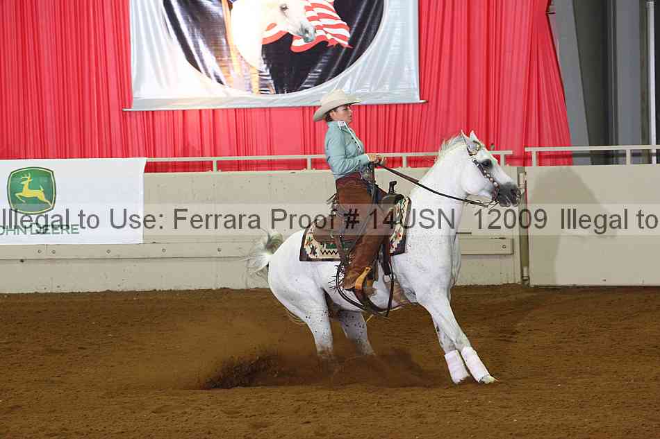 Proof 14usn_12009
