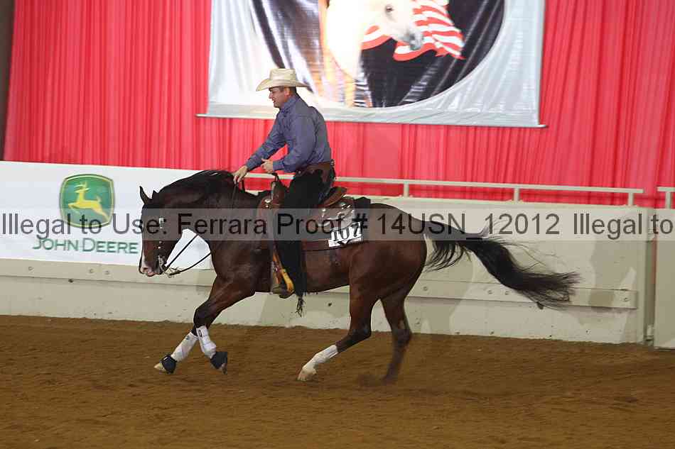Proof 14usn_12012