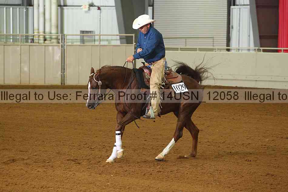 Proof 14usn_12058