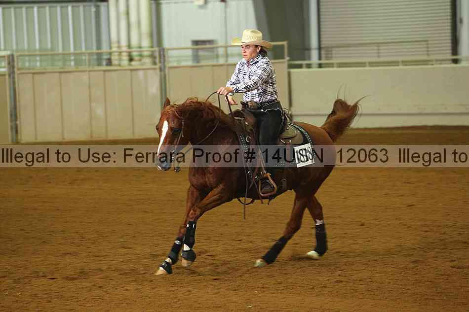 Proof 14usn_12063