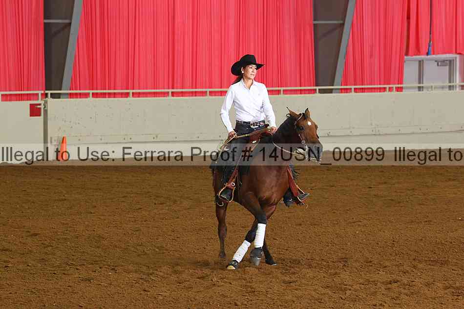 Proof 14usn_00899
