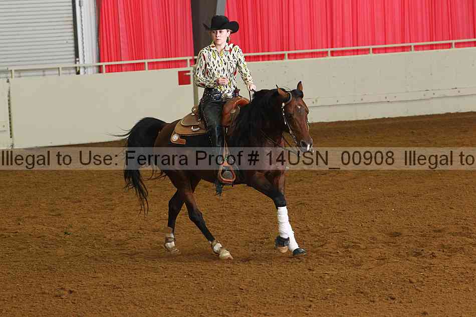 Proof 14usn_00908